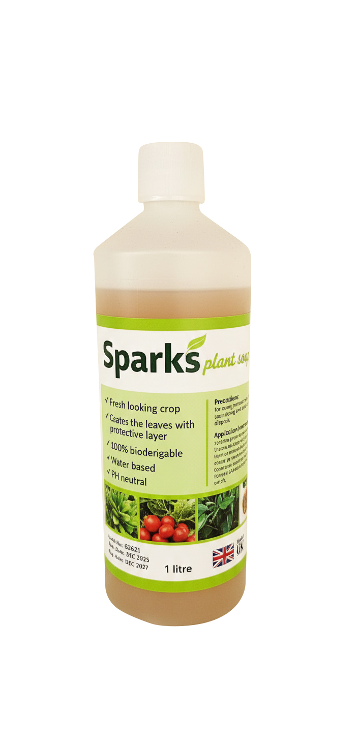 Spark (1000 ml Pack)